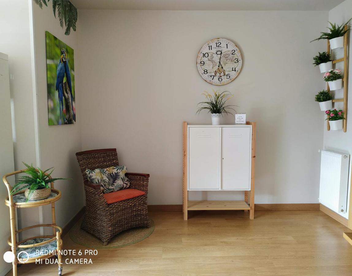 Bermeo Y Urdaibai - Parking-Ascensor - Wifi - Tranquilo Apartment Exterior photo